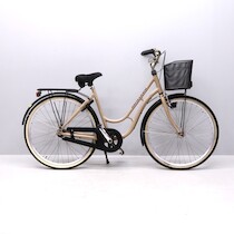 Damcykel