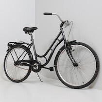 Damcykel