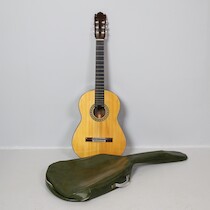 Gitarr Ibanez